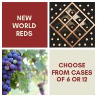 New World - Red Wine Case